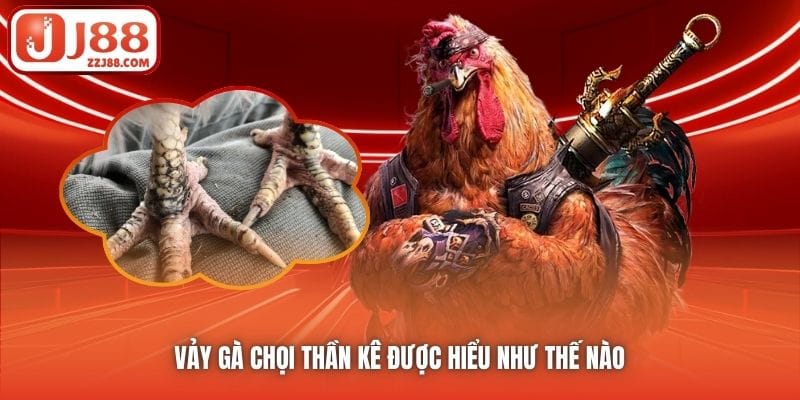 Vảy gà chọi thần kê được hiểu như thế nào
